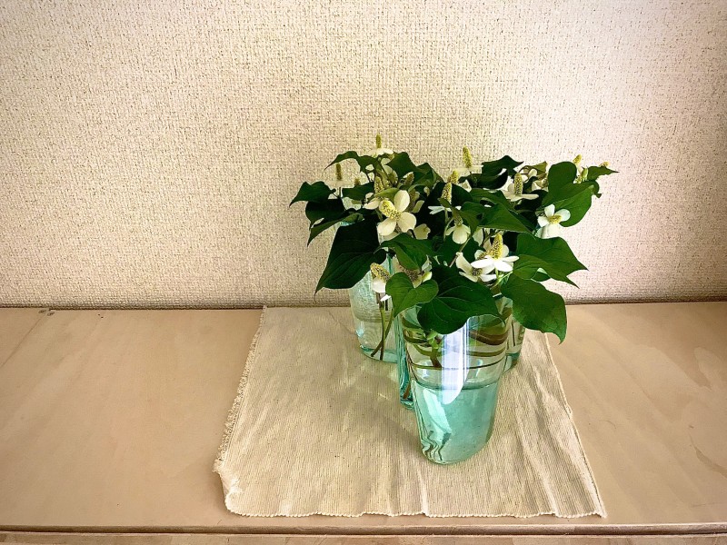 フラワーベース 岐阜の設計事務所 向井建築事務所 建築家 岐阜 愛知 名古屋 新築 リノベーション 二世帯住宅 平屋
